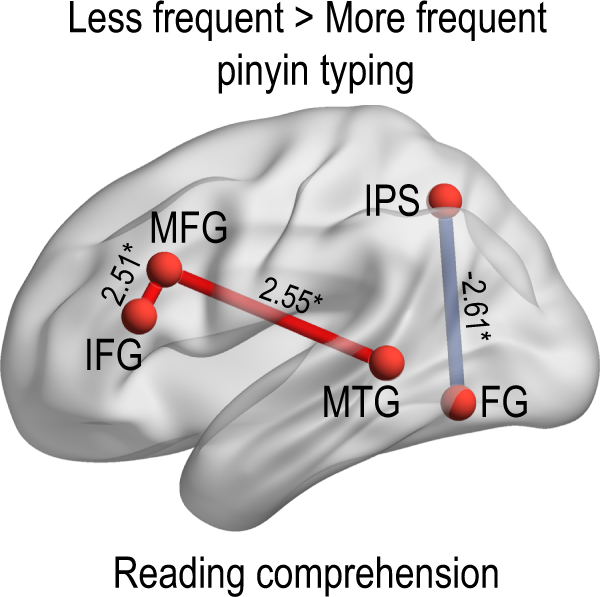 Fig. 3: The effect of pinyin typing on functional connectivity.