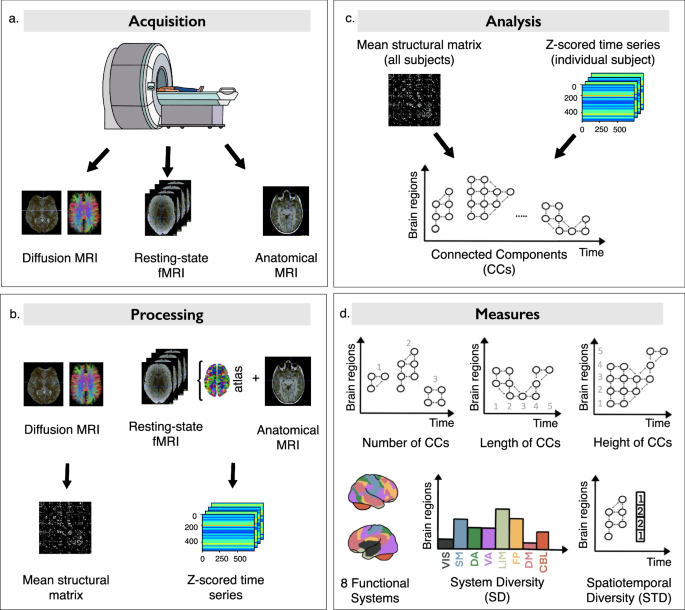 Fig. 1: The spatiotemporal connectome framework.