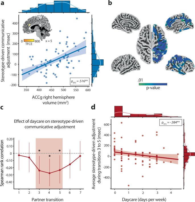 Fig. 2: Neuroanatomical and developmental factors influencing stereotype- and interaction-driven adjustments.
