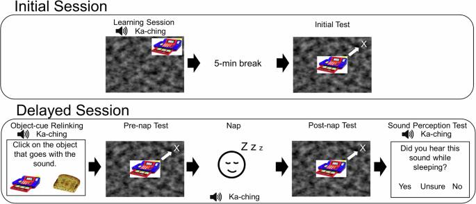 Targeted memory reactivation with sleep disruption does not weaken week-old memories