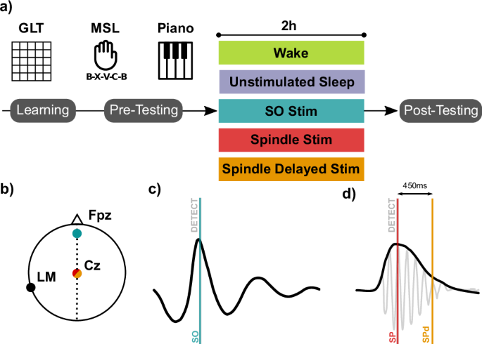 Fig. 1: Study design.