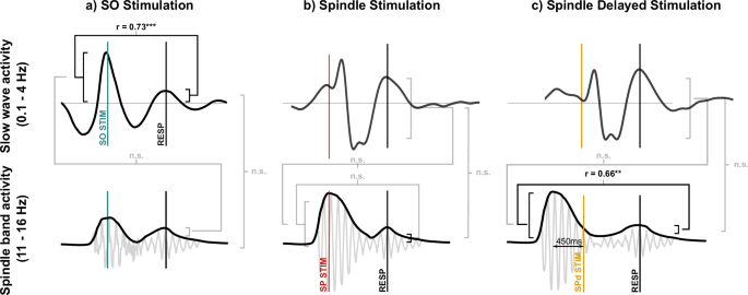 Fig. 3: Correlations between detected and evoked signal magnitude.