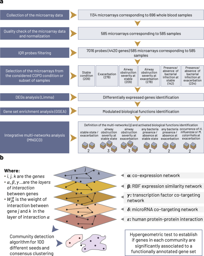 Fig. 1: Overview of the analysis pipeline.