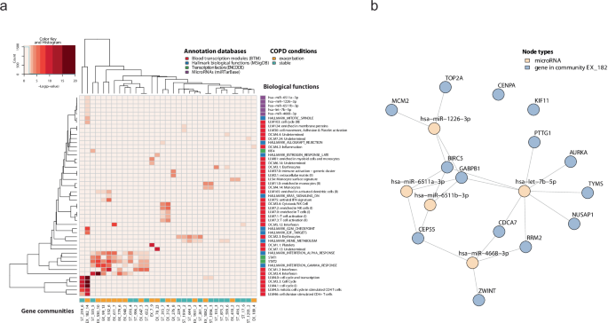 Fig. 3: Gene communities identified in COPD stable state and exacerbation involve multiple biological functions.