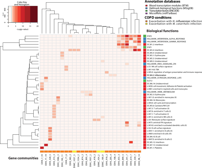 Fig. 5: Gene communities in H. influenzae and M. catarrhalis infections during exacerbation and their associated biological functions.