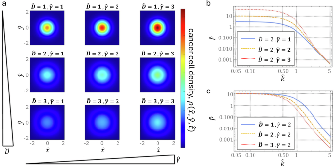 Fig. 1: Numerical analysis of the parameter dependency of the reaction-diffusion equation.
