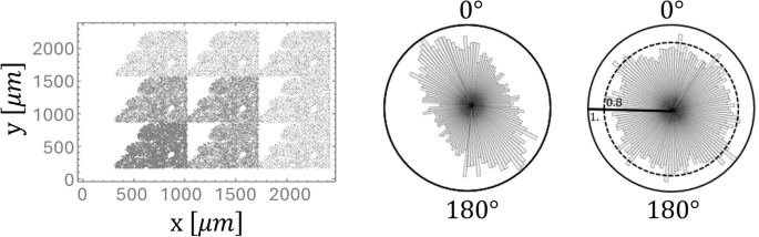 Fig. 7: Replicated cell distribution architecture.