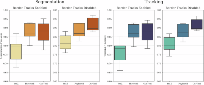 Enhancing yeast cell tracking with a time-symmetric deep learning approach