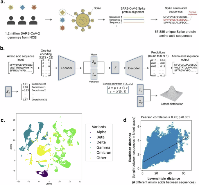 A deep learning approach predicting the activity of COVID-19 therapeutics and vaccines against emerging variants