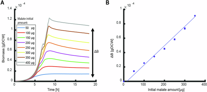 Overall biomass yield on multiple nutrient sources