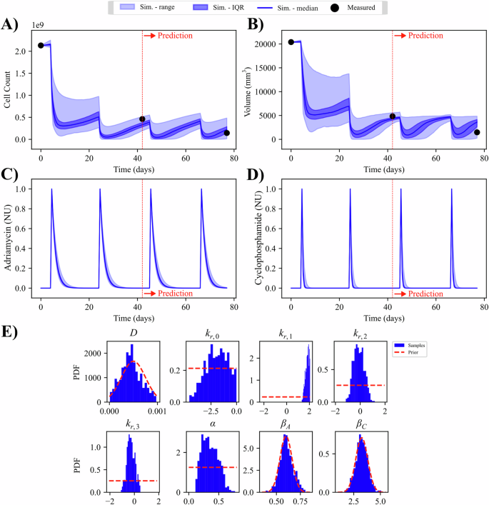 Fig. 2: Patient-specific Bayesian calibration and prediction.