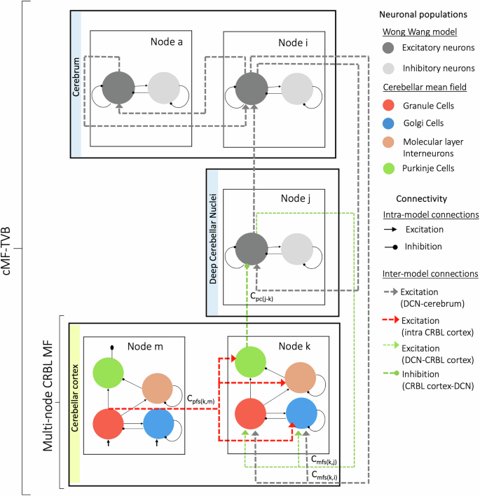 Fig. 3: Schematic circuit representation of the cMF-TVB.
