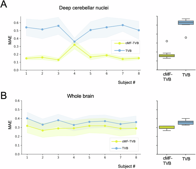 Fig. 6: cMF-TVB simulation of the whole brain.