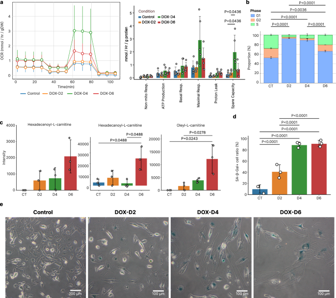 Temporal analysis of doxorubicin-induced cardiac toxicity and hypertrophy | npj Systems Biology and Applications Temporal analysis of doxorubicin-induced cardiac toxicity and hypertrophy | npj Systems Biology and Applications
