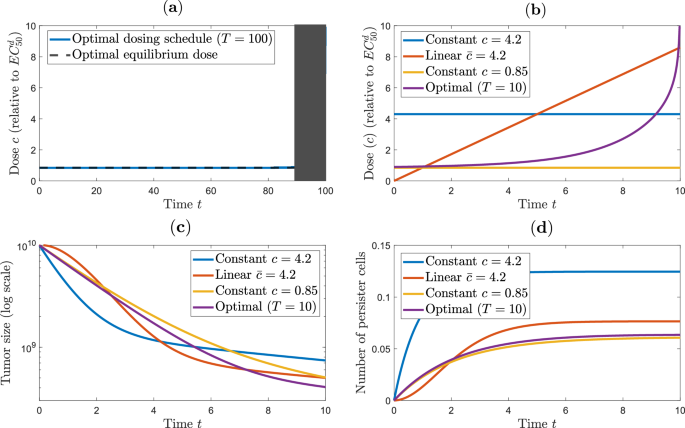 Fig. 5: Optimal dosing for an in vitro colorectal cancer system.