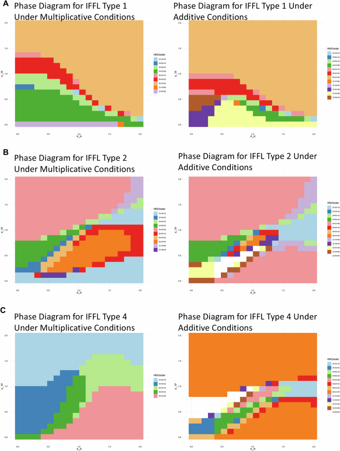 Fig. 5: Both multiplicative and additive IFFLs show large parameter regimes with plausible oscillation-specific gene expression patterns.