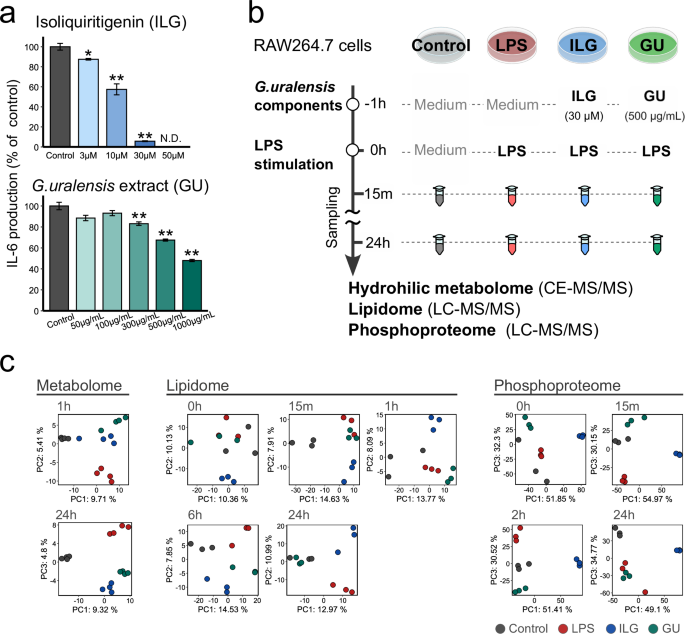 Fig. 1: Overview of multiomics profiling in LPS-stimulated RAW264.7 cells treated with isoliquiritigenin and Glycyrrhiza uralensis extract.