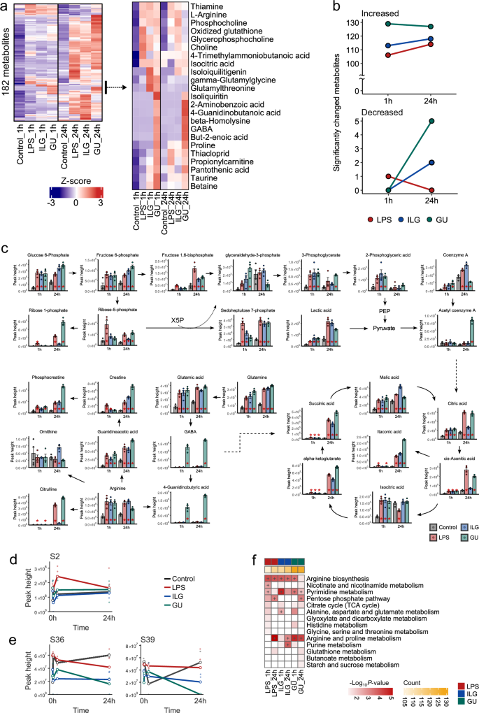 Fig. 2: Hydrophilic metabolome alterations by ILG and GU treatments in LPS-stimulated RAW264.7 cells.