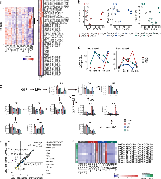 Fig. 3: ILG- and GU-specific lipidome alterations in LPS-stimulated RAW264.7 cells.