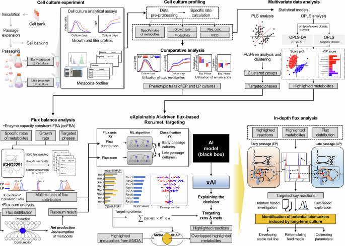 Fig. 1: Overview of the integrated experimental and computational framework by leveraging explainable AI-driven flux balance analysis for exploring passaging effects.
