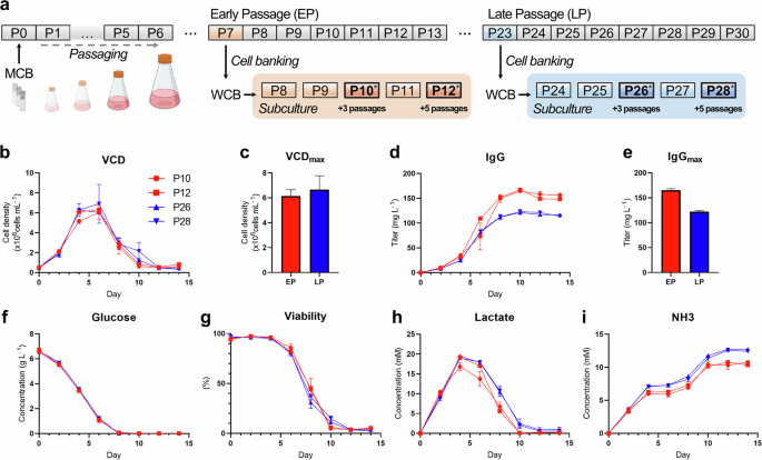 Fig. 2: Cell culture profiles at early passage (EP) and late passage (LP).