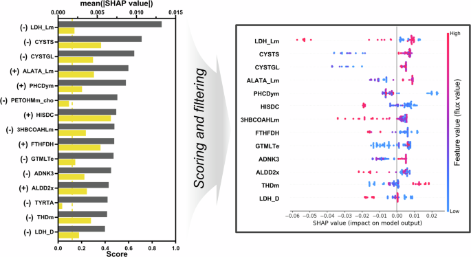 Fig. 4: SHapley Additive exPlanations (SHAP) analysis on passage classification ML model and summary plot of selected reactions.