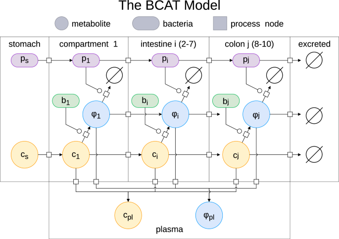 Fig. 1: The BCAT model.