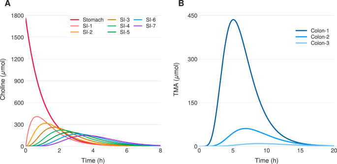 Fig. 2: Simulation of the no treatment case.