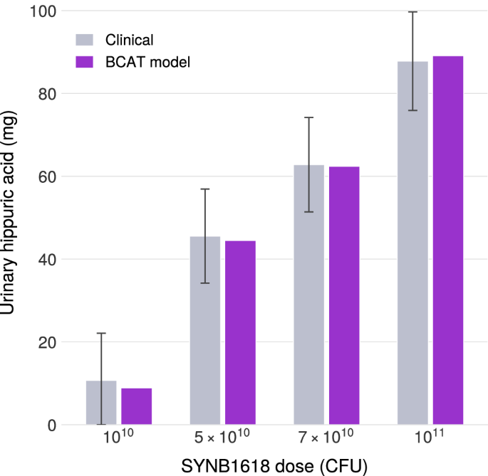 Fig. 7: Validating LBP terms of BCAT.