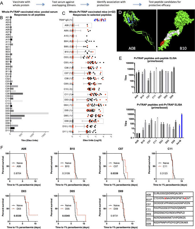 Discovery Of Four New B Cell Protective Epitopes For Malaria Using Q Beta Virus Like Particle As Platform Npj Vaccines