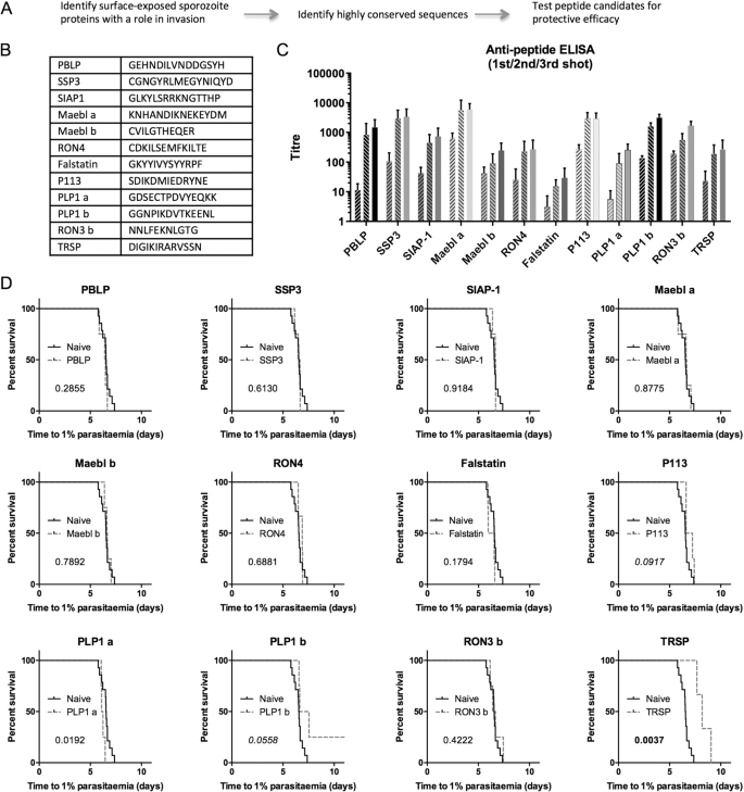 Discovery Of Four New B Cell Protective Epitopes For Malaria Using Q Beta Virus Like Particle As Platform Npj Vaccines