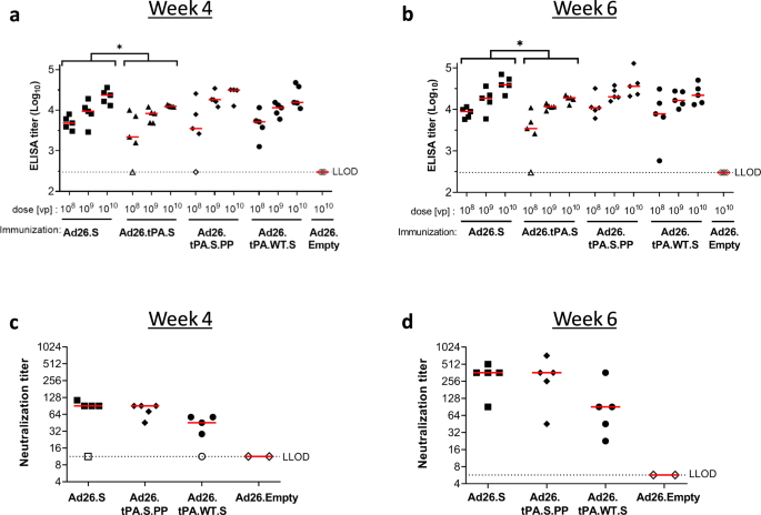 Fig. 5: Immunization with Ad26-based vaccine constructs induce humoral immune responses in immunized mice.