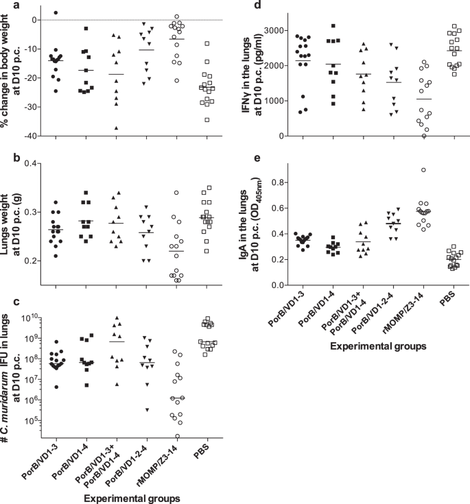 Fig. 3: Local and systemic disease burden and local immune responses in lungs.