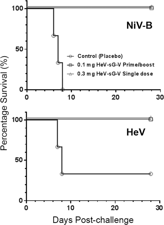 A Single Dose Investigational Subunit Vaccine For Human Use Against Nipah Virus And Hendra Virus Npj Vaccines