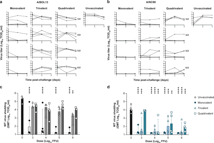 Fig. 5: A/BOL13 provides reduced protection against wt challenge virus shedding.
