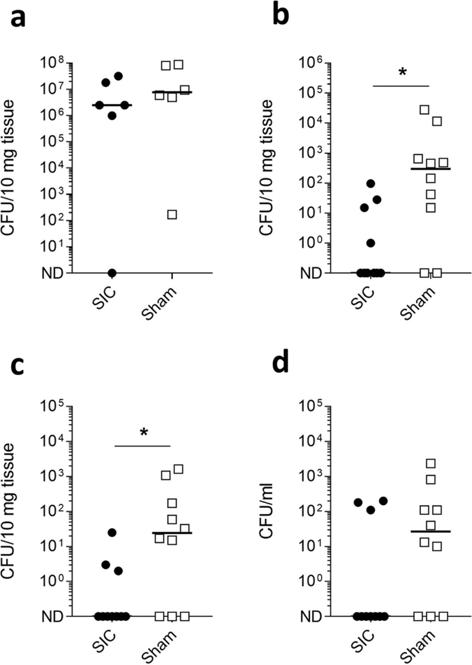 Vaccine Induced But Not Natural Immunity Against The Streptococcal Inhibitor Of Complement Protects Against Invasive Disease Npj Vaccines