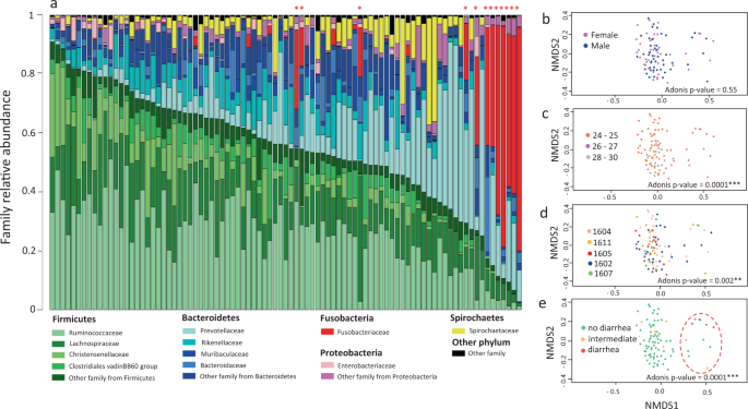 Fig. 2: Composition of fecal microbiota of vaccinated piglets at D28 and visualization of sample dispersion by NMDS.