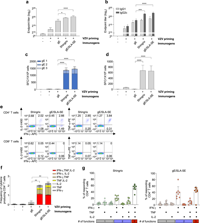 Fig. 2: Comparison of gE- or VZV-specific immune responses of gE/SLA-SE with Shingrix in young mice.