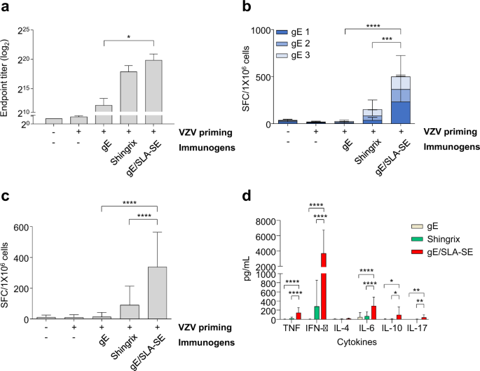 Fig. 3: gE- or VZV-specific immune responses induced by gE/SLA-SE or Shingrix in elderly mice.