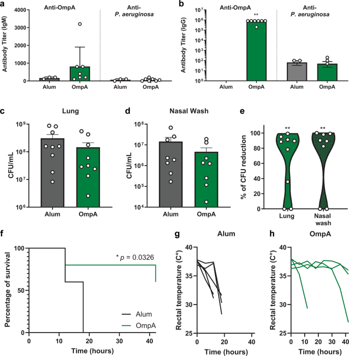 Relative Increase in IgG Antibodies to Pseudomonas aeruginosa 60-kDa GroEL  in Prediabetic Patients with Cystic Fibrosis