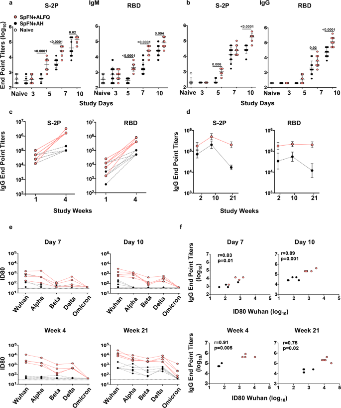 Fig. 6: SpFN + ALFQ vaccine elicited rapid and robust antigen-specific binding and neutralizing antibody titers.