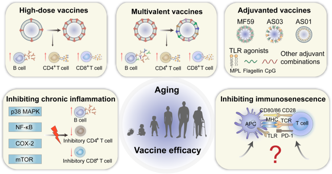 research paper on vaccination figure 4