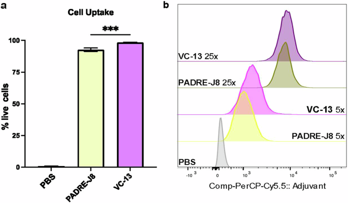 Fig. 4: Concentration-dependent uptake of Cy5.5-BB3 in DC2.4 cells.