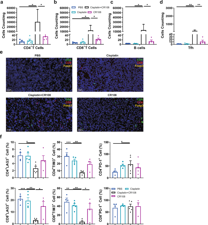 Fig. 4: Effects of cisplatin + CR108 combo therapy on TILs.