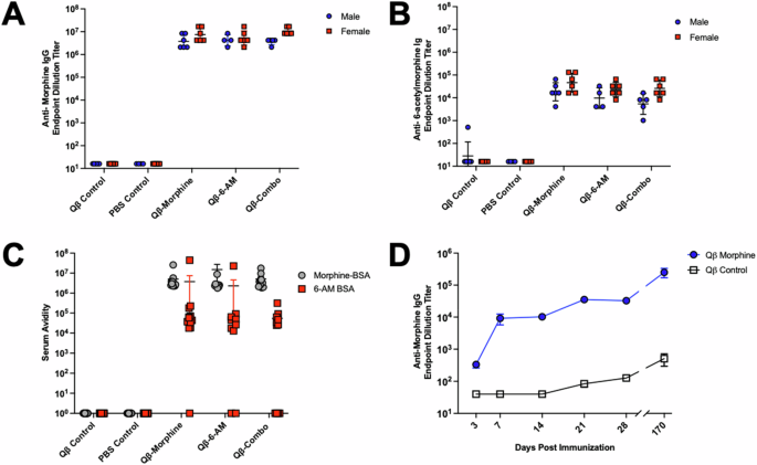 Fig. 2: Qβ-morphine and Qβ-6-acetylmorphine vaccine candidates generate high titer, high avidity, durable antibody responses.