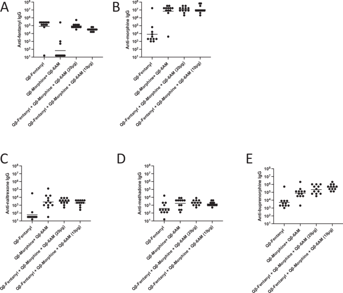Fig. 6: Combined fentanyl and heroin vaccine formulation elicits high-titer antibody responses with some cross-reactivity.