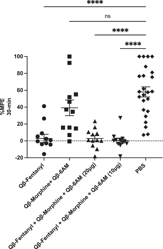 Fig. 7: Combined fentanyl and heroin vaccine formulation shows protection against fentanyl-induced anti-nociception.