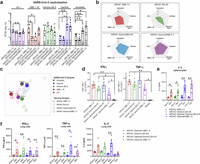 Fig. 1: Prime immunization with monovalent and bivalent adapted XBB.1.5 vaccines induce nAbs and Ag-specific T cell immune responses.