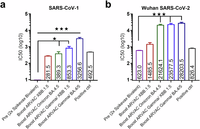 Fig. 3: Neutralizing antibodies against SARS-CoV-1 virus induced after booster vaccination.