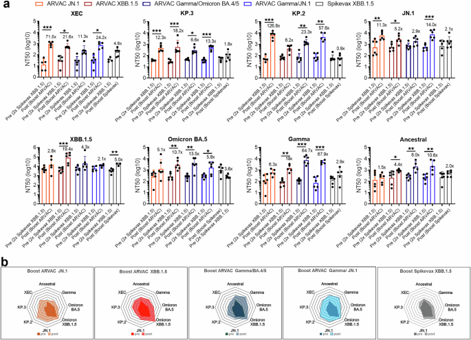 Fig. 5: Monovalent and bivalent adapted JN.1 vaccines induce nAbs against JN.1 and KP.2, KP.3 and XEC subvariants in booster immunization schedules.